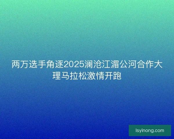 两万选手角逐2025澜沧江湄公河合作大理马拉松激情开跑